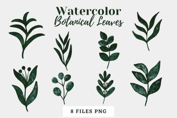 Botanical Watercolor Leaves Pack 12: A Designer’s Real-World Review for Client Projects