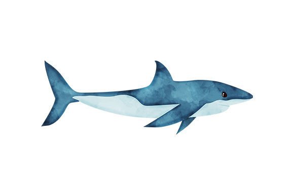 Great White Shark - Watercolor: A Bold, Organic Touch for Nature-Themed Branding and Animal-Inspired Design Projects