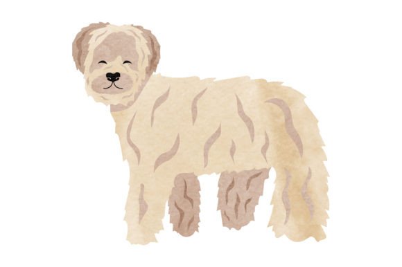 Soft Coated Wheaten Terrier Watercolor for Dogs Blogs
